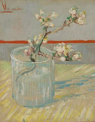 Sprig of Flowering Almond in a Glass